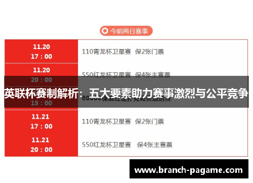 英联杯赛制解析：五大要素助力赛事激烈与公平竞争