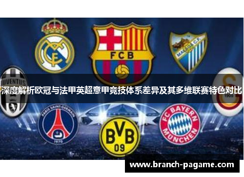 深度解析欧冠与法甲英超意甲竞技体系差异及其多维联赛特色对比