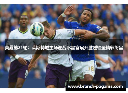 英超第21轮：莱斯特城主场迎战水晶宫展开激烈较量精彩纷呈