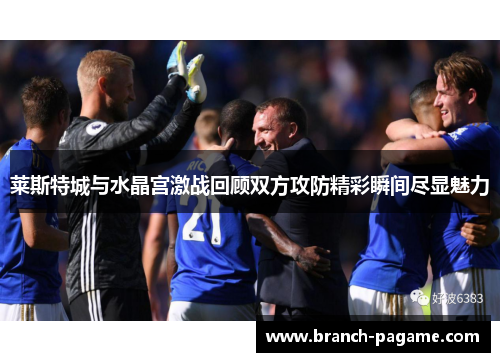 莱斯特城与水晶宫激战回顾双方攻防精彩瞬间尽显魅力 莱斯特城与水晶宫激战回顾双方攻防精彩瞬间尽显魅力