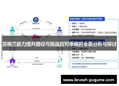 苏格兰能力提升路径与挑战应对策略的全面分析与探讨