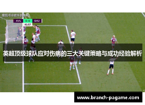 英超顶级球队应对伤病的三大关键策略与成功经验解析 英超顶级球队应对伤病的三大关键策略与成功经验解析