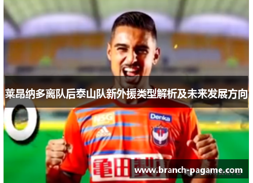 莱昂纳多离队后泰山队新外援类型解析及未来发展方向