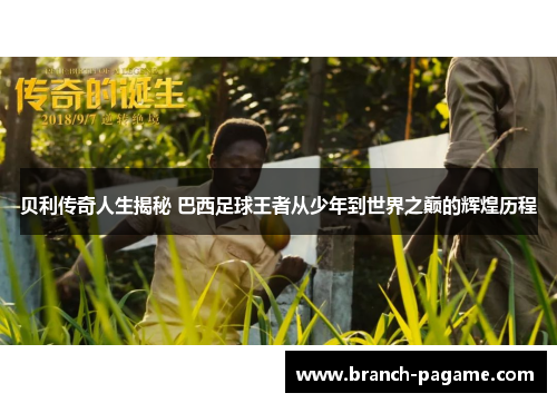 贝利传奇人生揭秘 巴西足球王者从少年到世界之巅的辉煌历程